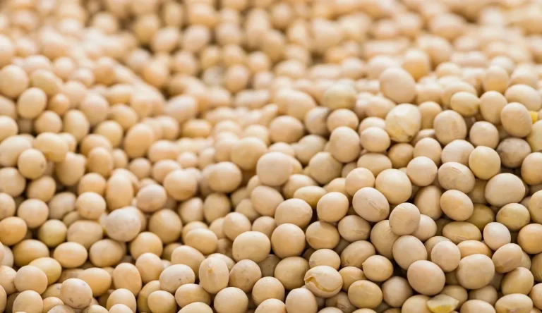 Evropska komisija želi do 2035. udio proteina iz EU podići na 35%