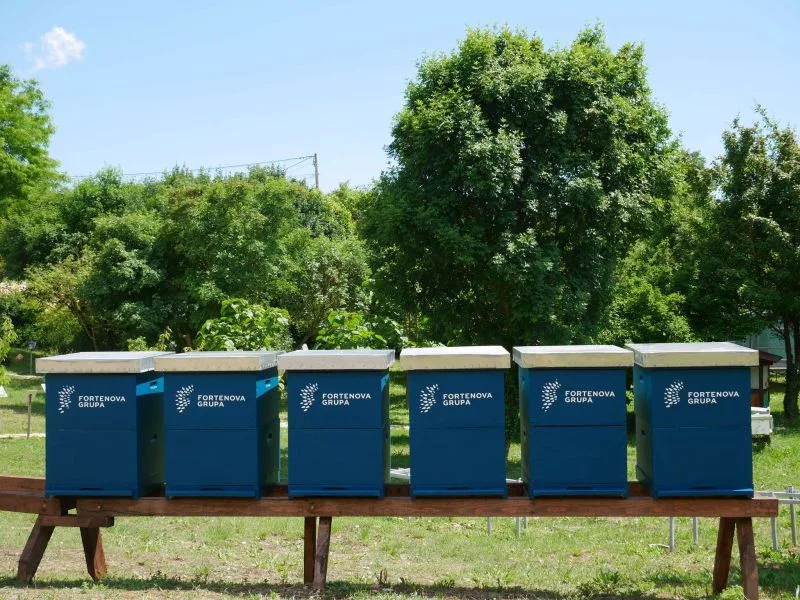 Pčelinjak Fortenova grupa – pčele oprašuju cvjetove u sklopu ESG projekta